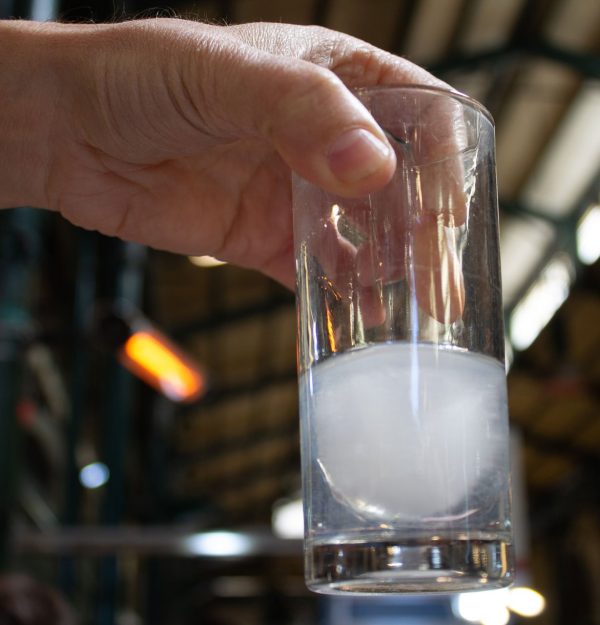 Athens food tour - ouzo