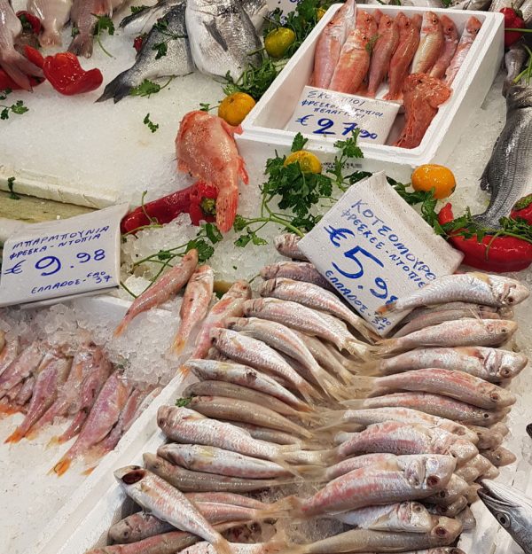 Athens food tour - fish market